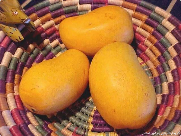the right time to eat fruit,انبه نشان بالاترین برای ویتامین C